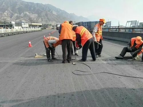 通渭道路桥梁病害治理